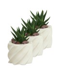 Mini Çiçek Saksı Küçük Sukulent Beyaz Kaktüs Saksısı 3lü Set Kalın Çizgili Yıldız Model